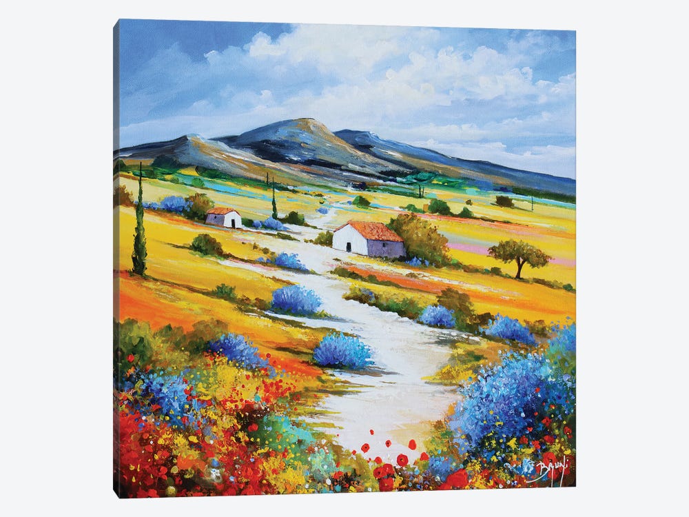Provencal Trail by Eric Bruni 1-piece Canvas Wall Art