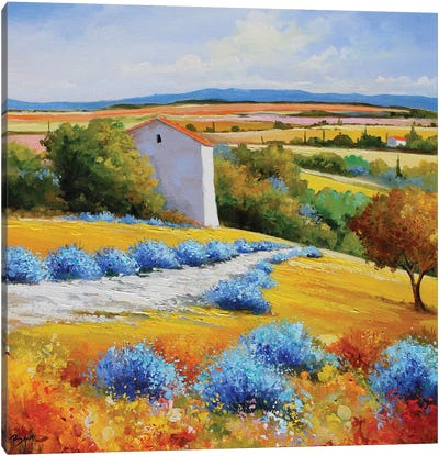 Path And Lavendes Canvas Art Print - Eric Bruni