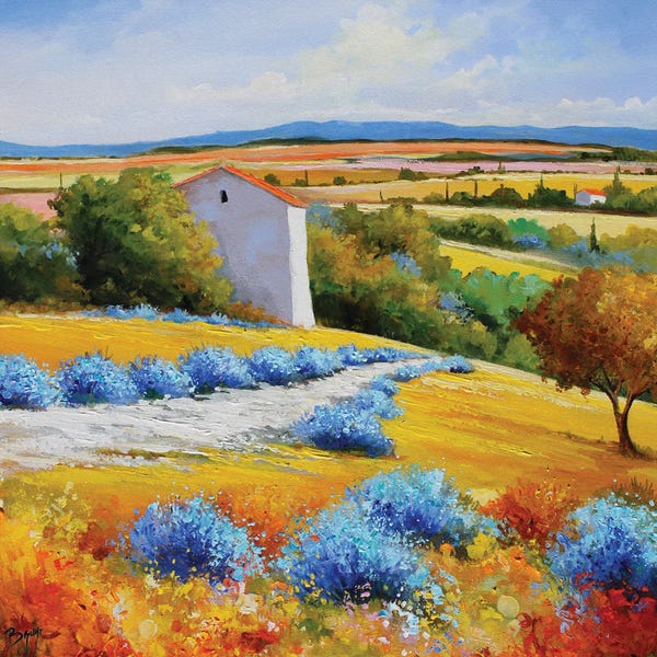 Herbs: Path And Lavendes by Eric Bruni