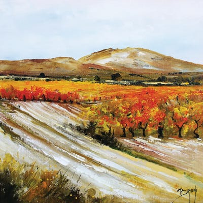 Vines In Provence by Eric Bruni metal wall art