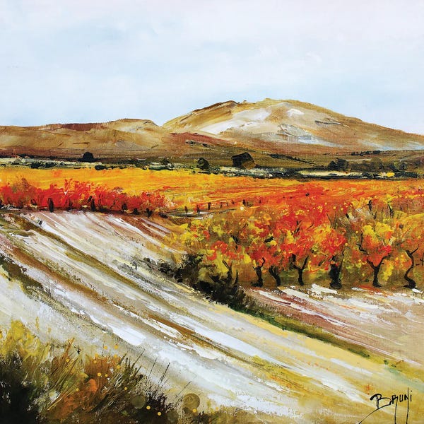 Vines In Provence