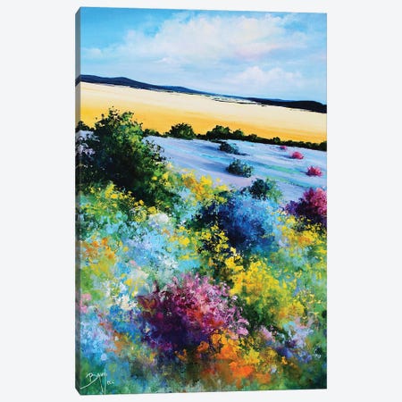 Lavender And Broom Canvas Print #EBN43} by Eric Bruni Canvas Artwork