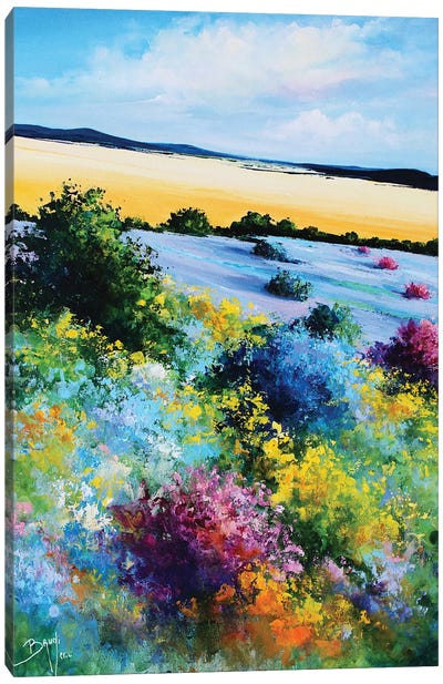 Lavender And Broom Canvas Art Print - Eric Bruni