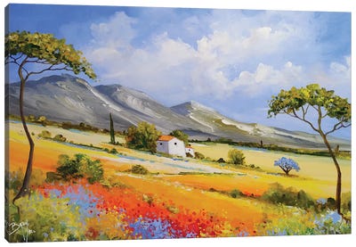Back To Provence Canvas Art Print - Eric Bruni