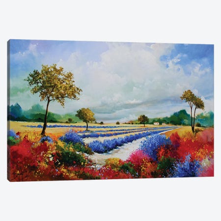 Colorful Lavender And Bushes Canvas Print #EBN48} by Eric Bruni Canvas Wall Art
