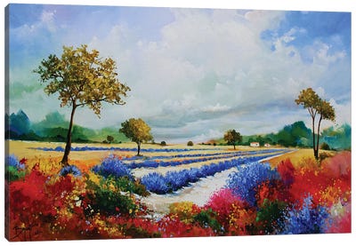 Colorful Lavender And Bushes Canvas Art Print - Eric Bruni