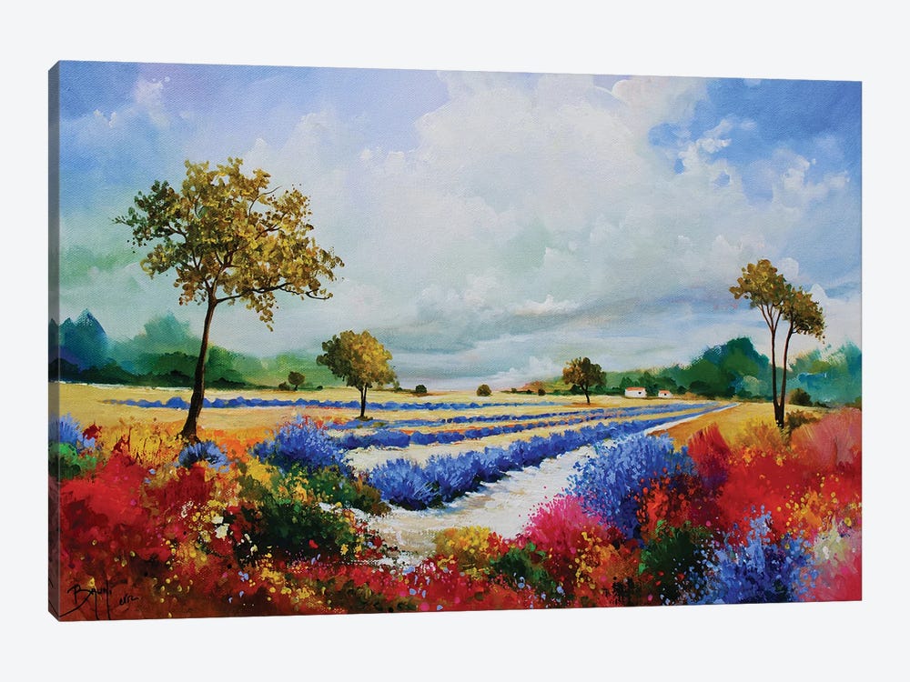 Colorful Lavender And Bushes by Eric Bruni 1-piece Canvas Art Print