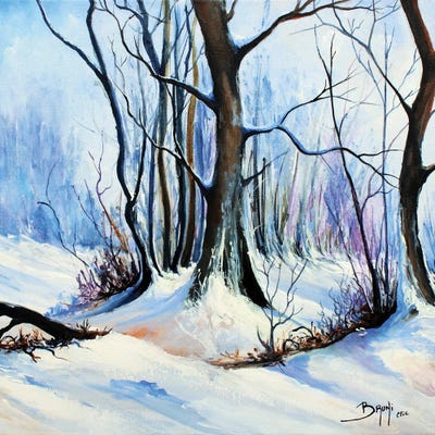 Snow In The Forest by Eric Bruni framed wall art