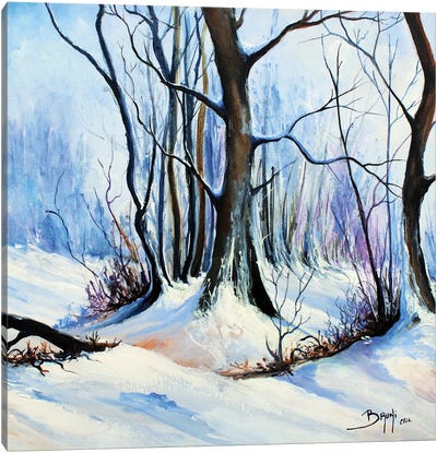 Snow In The Forest Canvas Art Print - Eric Bruni
