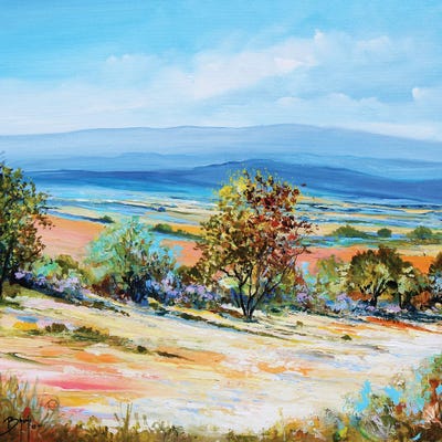 View Of The Plain by Eric Bruni framed wall art