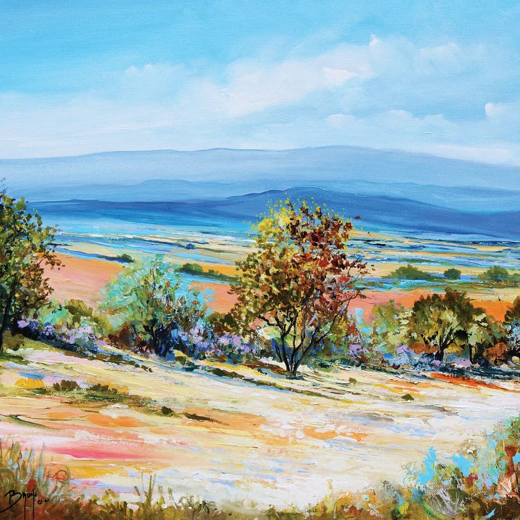 View Of The Plain by Eric Bruni wall art