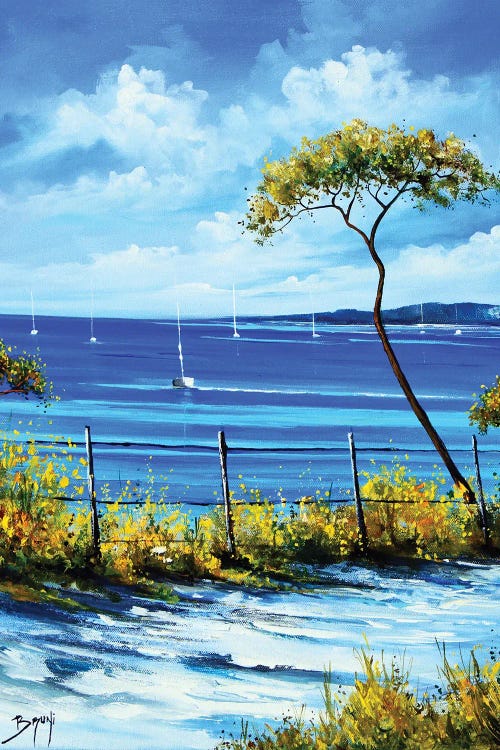 Chemin En Bord De Mer