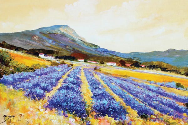 Lavender Field At The Foot Of The Mountain