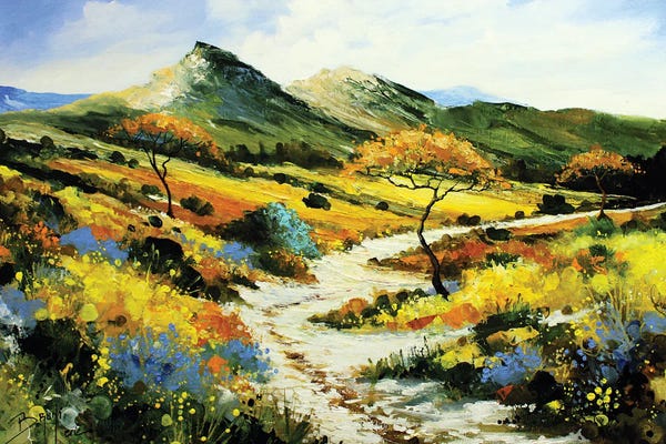 Eric Bruni: Path In The Scrubland by Eric Bruni