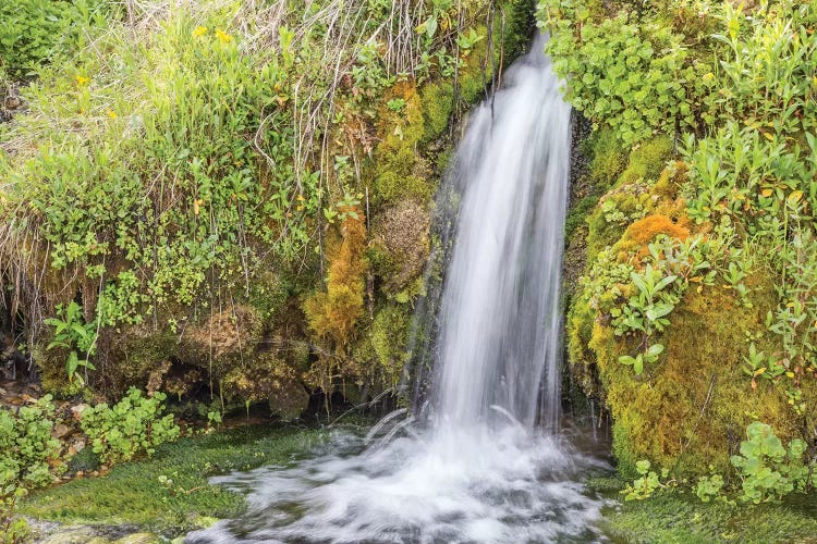 USA, Wyoming, Sublette County. Kendall Warm Springs, a small waterfall flowing over a mossy ledge.