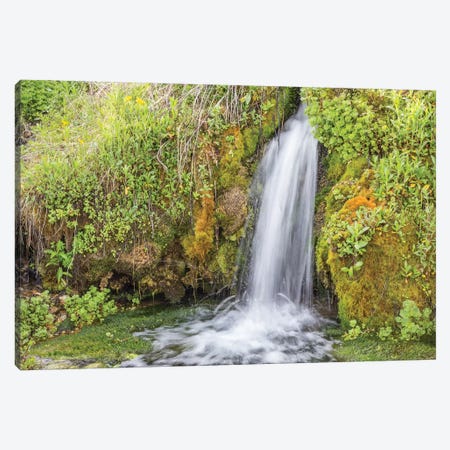 USA, Wyoming, Sublette County. Kendall Warm Springs, a small waterfall flowing over a mossy ledge. Canvas Print #EBO22} by Elizabeth Boehm Canvas Art Print