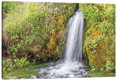 USA, Wyoming, Sublette County. Kendall Warm Springs, a small waterfall flowing over a mossy ledge. Canvas Art Print