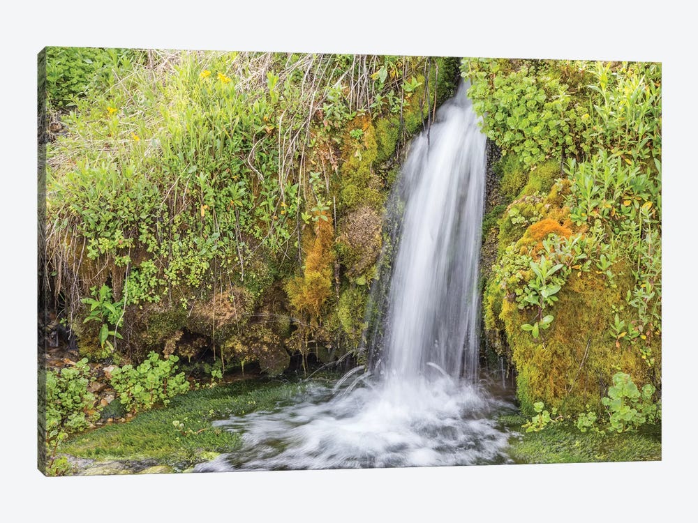 USA, Wyoming, Sublette County. Kendall Warm Springs, a small waterfall flowing over a mossy ledge. by Elizabeth Boehm 1-piece Canvas Artwork