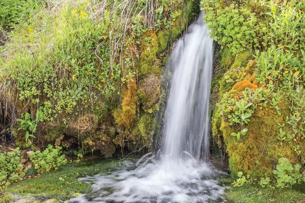 Elizabeth Boehm: USA, Wyoming, Sublette County. Kendall Warm Springs, a small waterfall flowing over a mossy ledge. by Elizabeth Boehm