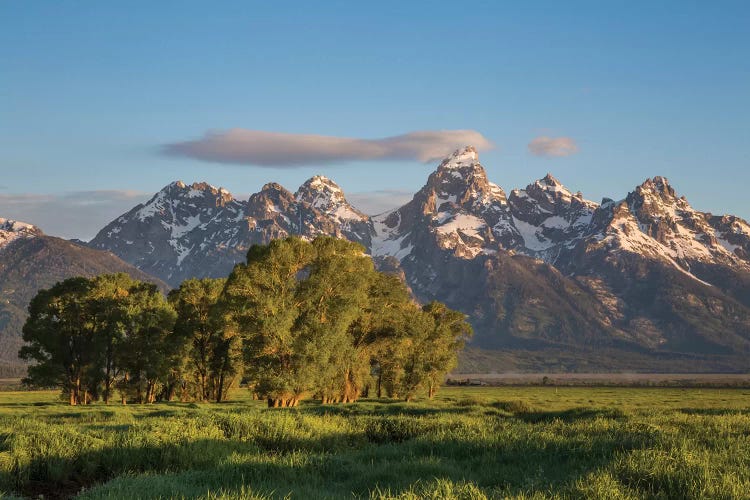 USA, Wyoming, Grand Teton National Park, Grand Tetons in the springtime.