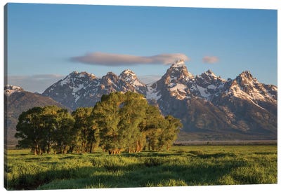 USA, Wyoming, Grand Teton National Park, Grand Tetons in the springtime. Canvas Art Print - Grand Teton Art