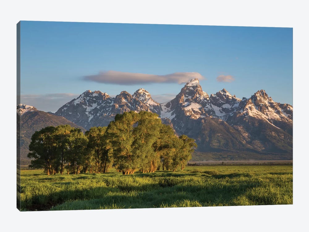 USA, Wyoming, Grand Teton National Park, Grand Tetons in the springtime. 1-piece Art Print