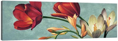 Luce e colore I Canvas Art Print - Tulip Art
