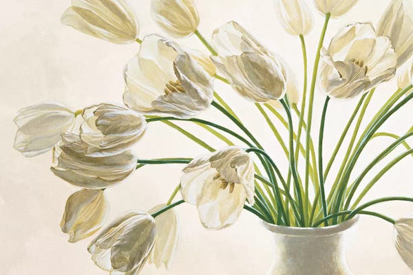 Tulips: Bouquet di tulipani by Eva Barberini
