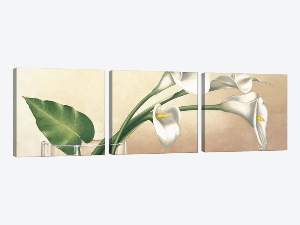 Vaso con calle bianche by Eva Barberini 3-piece Canvas Print