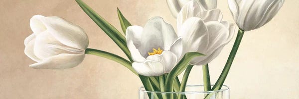 Tulips: Vaso con tulipani bianchi by Eva Barberini