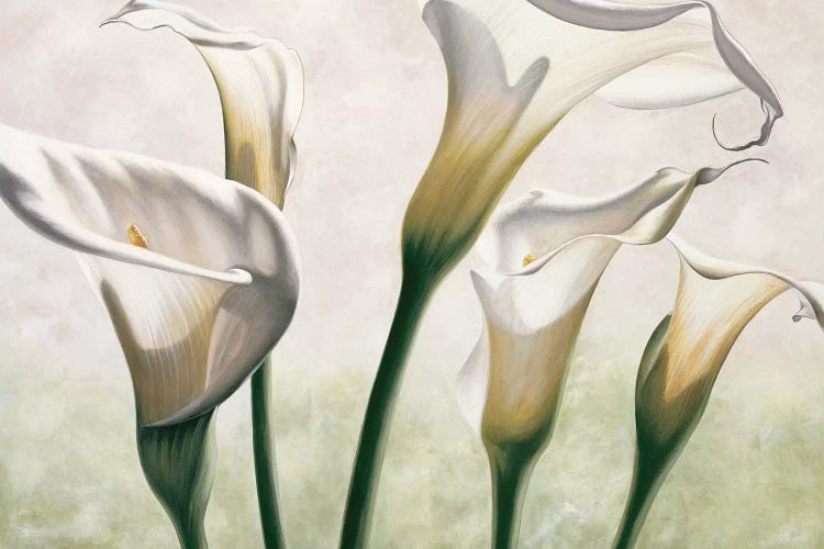 Luce by Eva Barberini wall art