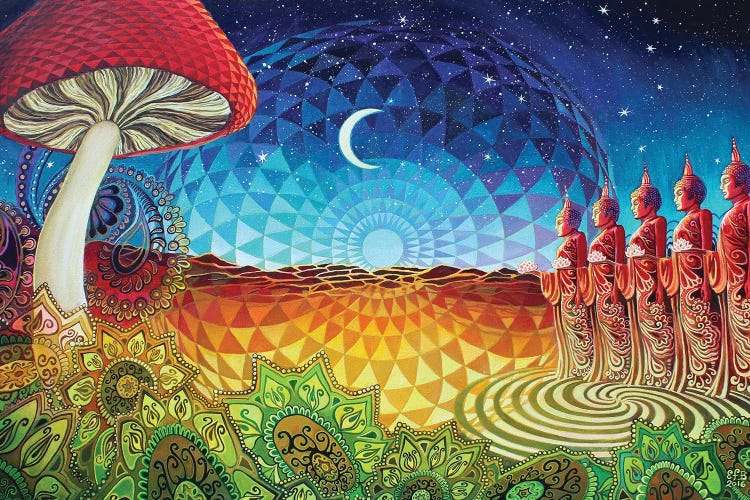 Buddha Bliss by Emily Balivet wall art