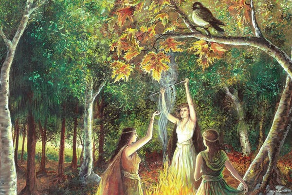 Witches: The Coven by Emily Balivet