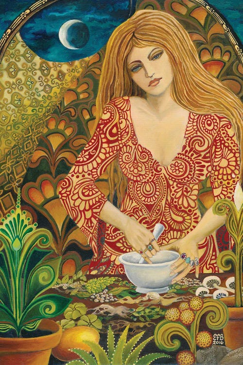 Eir: The Norse Goddess Of Medicine And Mercy by Emily Balivet wall art