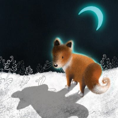 The Fox And The Moon by Ellie Beykzadeh canvas print