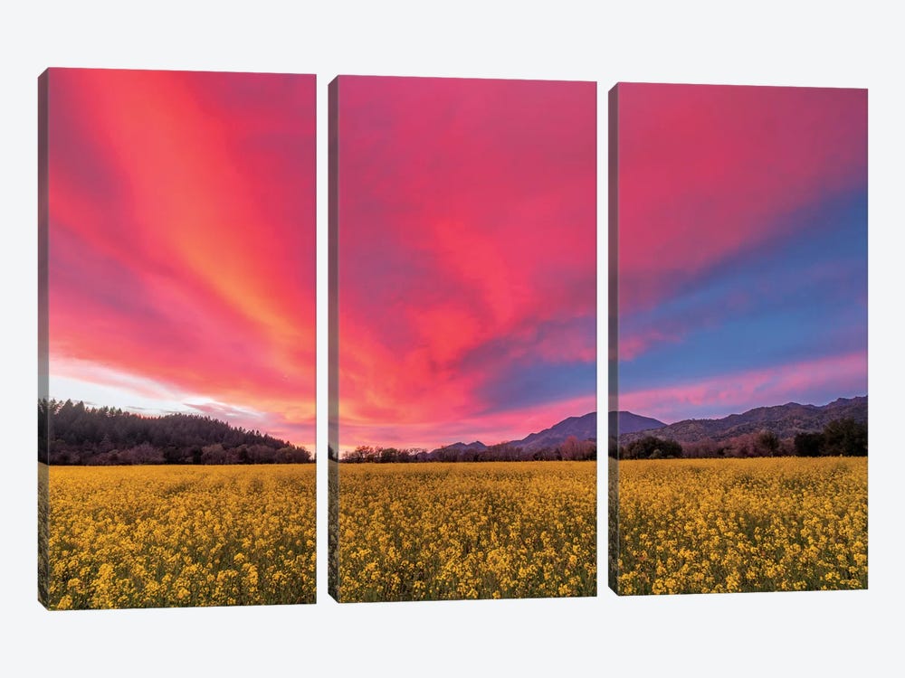 Spring Sunset, Napa Valley by Elizabeth Carmel 3-piece Canvas Art
