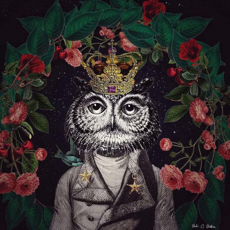 Mr. Owl