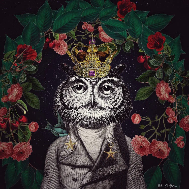 Mr. Owl