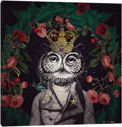 Mr. Owl Canvas Art Print - Owl Art