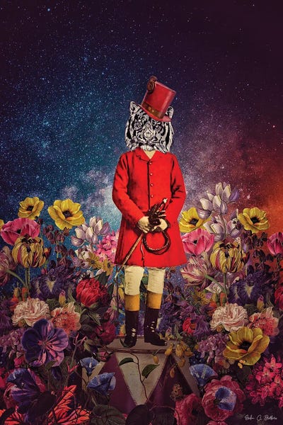 Tigers: The Magic Hour by Erika C. Brothers