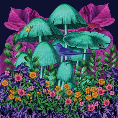 Colorful Garden by Erika C. Brothers framed canvas print