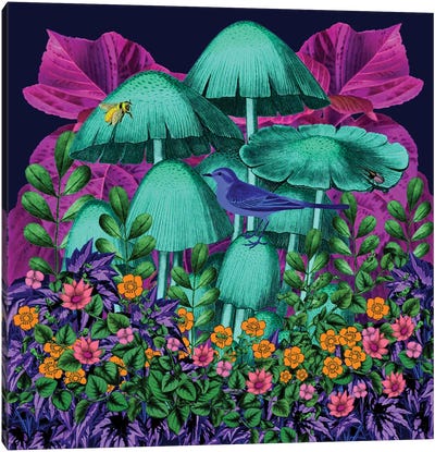 Colorful Garden Canvas Art Print - Mushroom Art