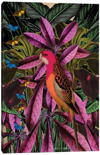 Tropical Jungle Canvas Art Print - Parrot Art
