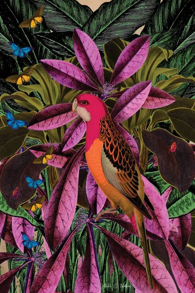 Parrots: Tropical Jungle by Erika C. Brothers