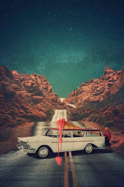 Melted Road by Erika C. Brothers canvas print