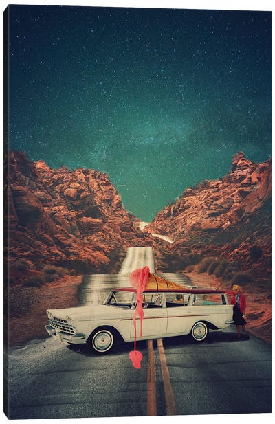 Melted Road Canvas Art Print - Erika C Brothers