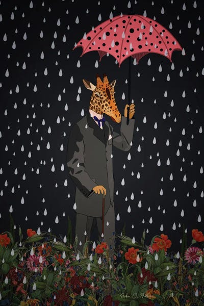 Rain: Rainy Day by Erika C. Brothers