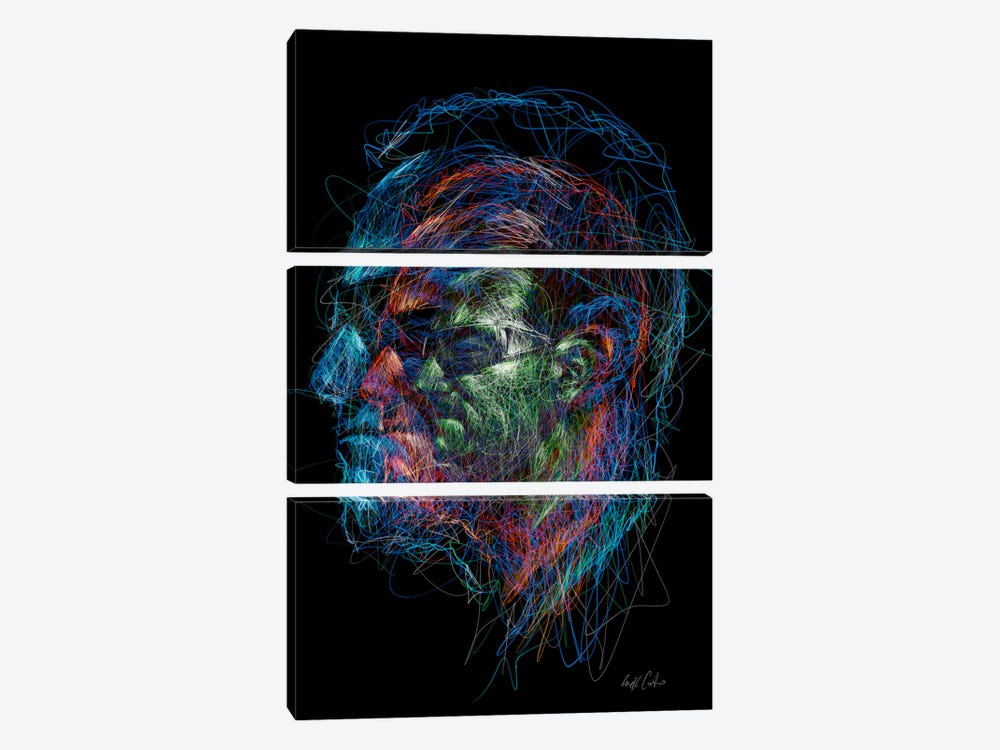 Bono by Erick Centeno 3-piece Canvas Artwork