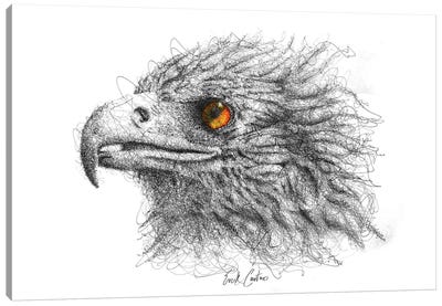 Eagle Eye Canvas Art Print - Hyper-Realistic & Detailed Drawings