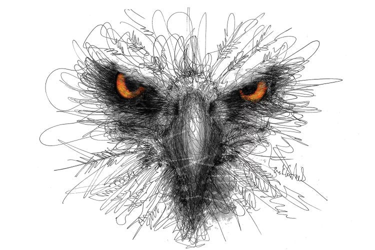 Eagle Look by Erick Centeno wall art